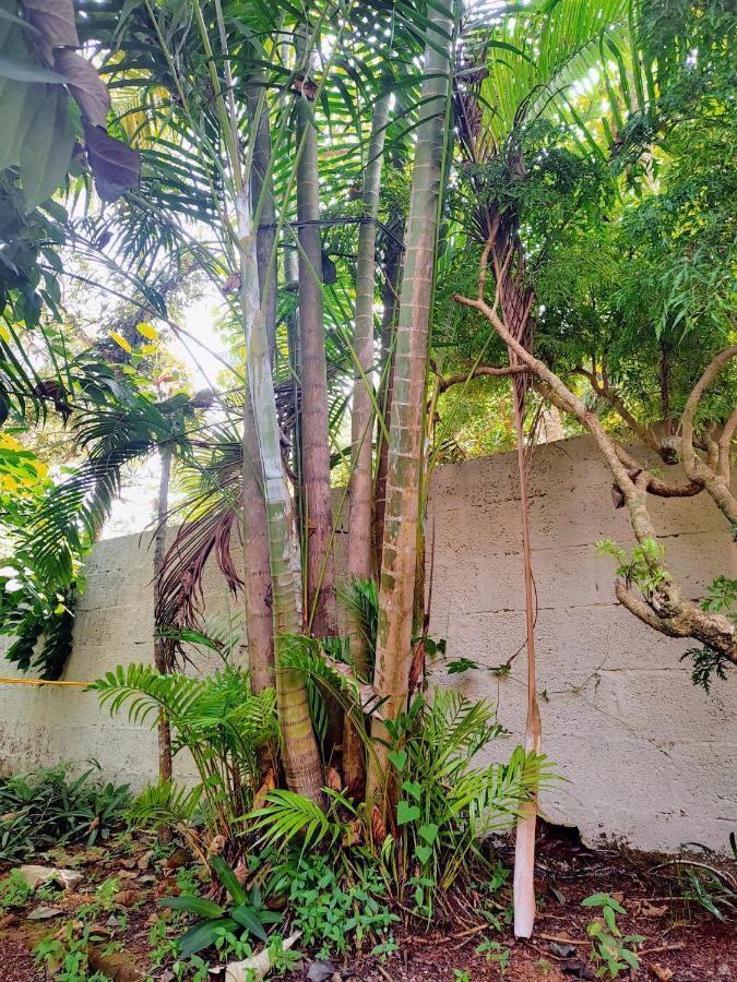 Gogonuts Hostel Varkala Esterno foto